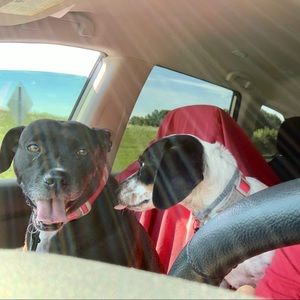 Meet your Posher, Ashlee